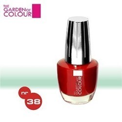 Lac de unghii - nr.38 - the garden of color