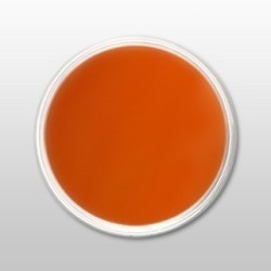 Moyra | praf de portelan color - mango - nr. 14 - 3,5 gr - la SalonShop.ro