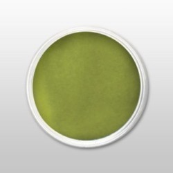 Moyra | praf de portelan color - grass green - nr. 39 - 3,5 gr