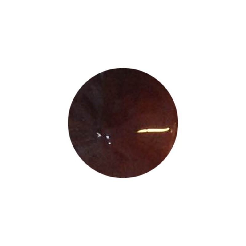 Uv painting gel - 823- 5ml | Pearl Nails